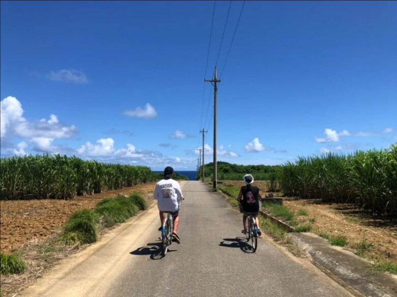 波照間島の道路を自転車で漕いでいるところ